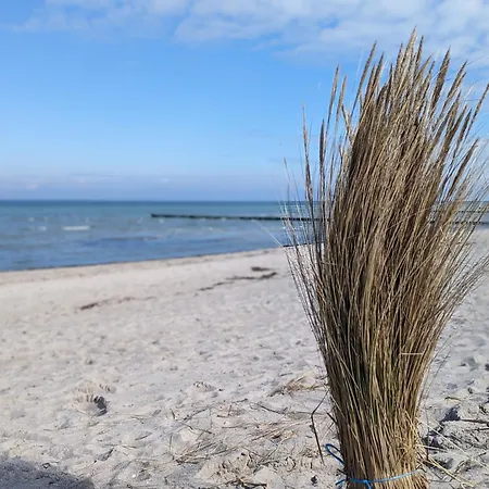 Bauernhof Hiess * Bad Kleinen