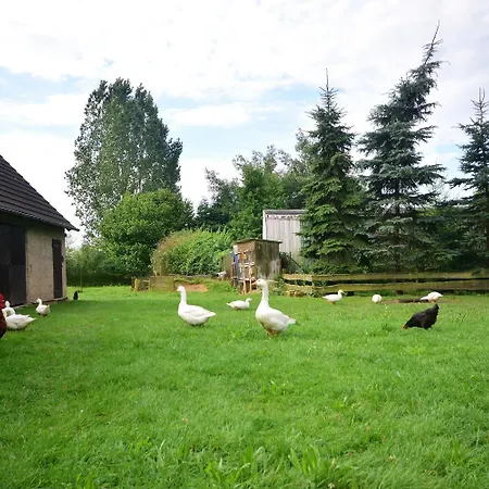 Bauernhof Hiess Appartement