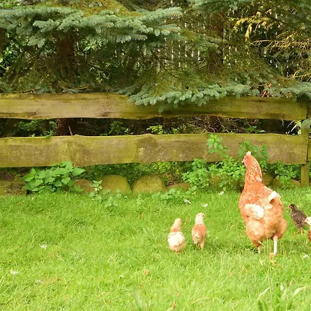 Appartement Bauernhof Hiess