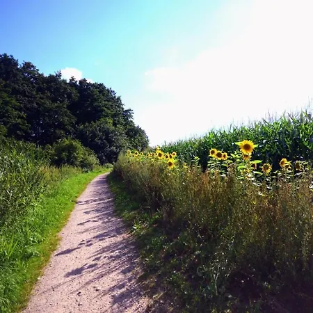 Bauernhof Hiess * Bad Kleinen
